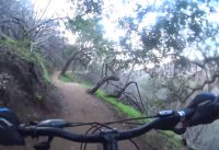 Betty Dearing Downhill - Hollywood CA - Mountain Biking MTB
