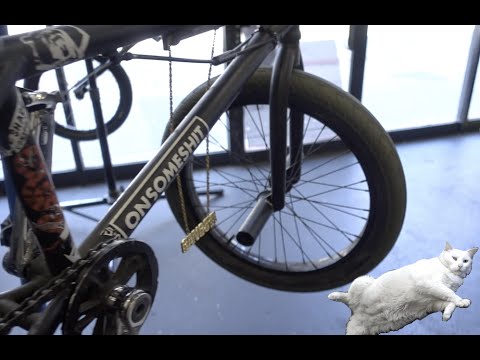 CATS DIG WORKING ON BMX BIKES