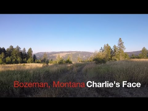 Mountain Biking Bozeman Montana - Charlies Face - Summer 2017 - POV