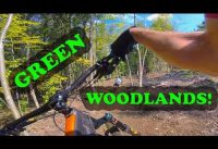 Mountain Biking Green Woodlands | Dorchester, NH