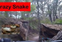 Reversing Crazy Snake at Erica Mountain Bike Park