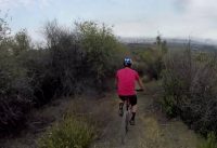 Scorpion Trail - Santa Monica CA - Mountain Biking MTB