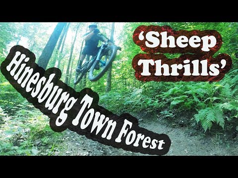 Sheep Thrills | Mountain Biking Hinesburg Town Forest | Hinesburg, VT