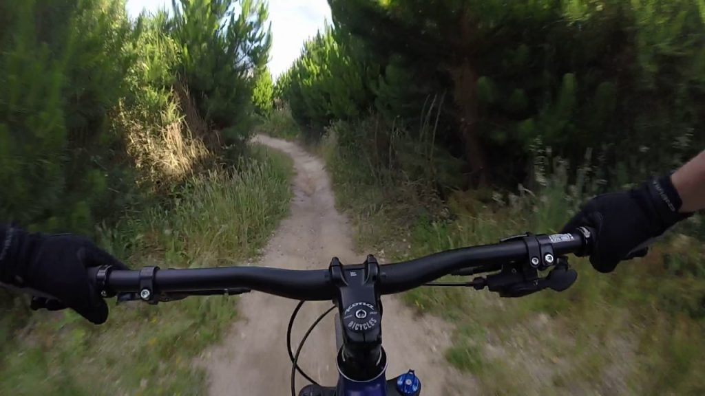 Taupo Craters Mountain Bike Park - Coaster trail