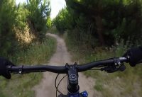 Taupo Craters Mountain Bike Park - Coaster trail