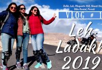 Leh | Ladakh | Part 1 | Delhi | Magnetic Hill | Shanti Stupa | May 2019 | Permit | Bike Rent