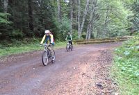Mount Rainier Experience: Biking the Westside Road