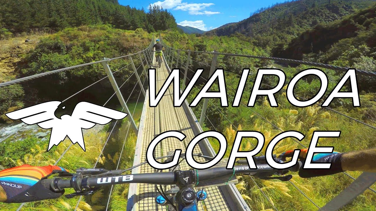 A Billionaire Built These Trails - Wairoa Gorge Bike Park - Nelson, New Zealand