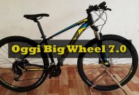 Review | Oggi Big Wheel 7.0 2019 | #Vlog17