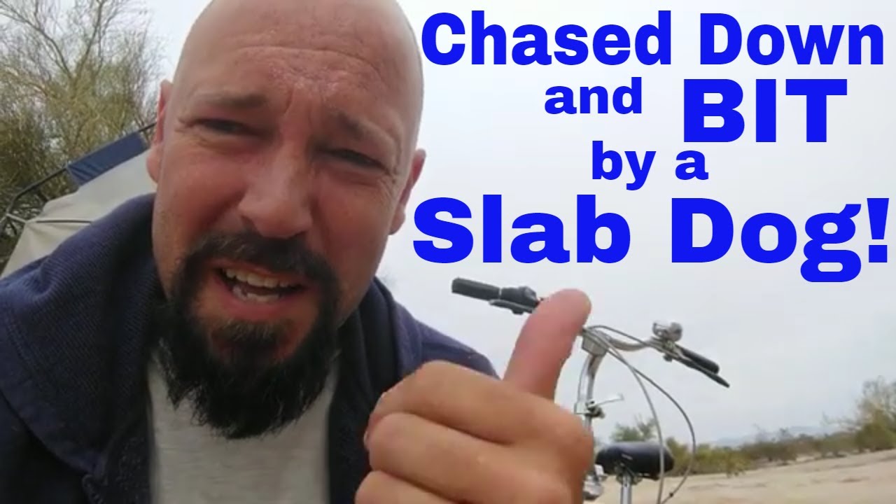 Scariest Day in Slab City: Chased and Bit by a Slab Dog