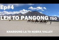 Leh to Pangong Lake | Khardungla Pass | Nubra Valley | Diskit | Leh Ladakh Road Trip 2019 ~Ep.04