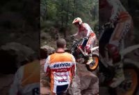 Mountain bike video
