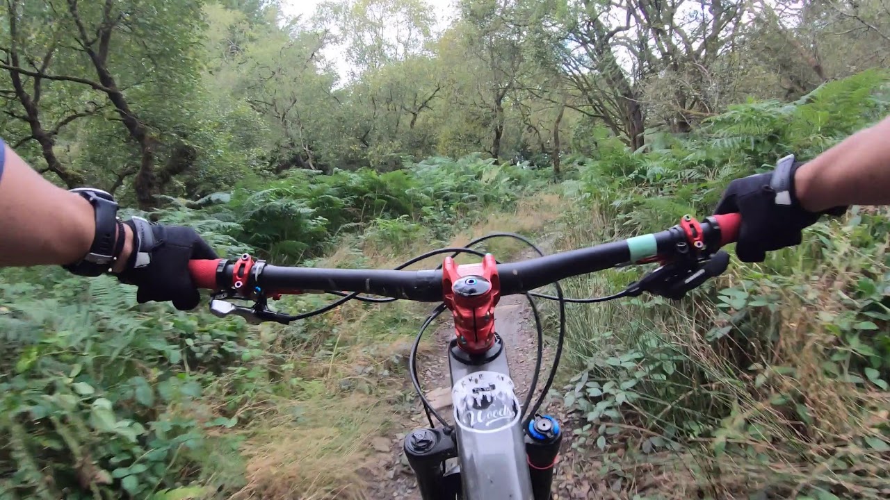 Bike Park Wales - Popty Ping (Blue) - Hot Stepper (Red) - 50 Shades of Black (Black)