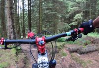 Bike Park Wales - Root Manoeuvres (Red)