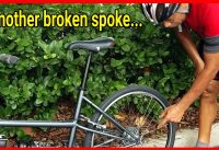 Spoke Replacement Without Removing the Tandem Bike Wheel, Cassette, or Tire | TANDEM ADVENTURERS