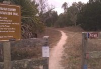 Graham Swamp Mountain Bike Trail (Palm Coast, Florida)