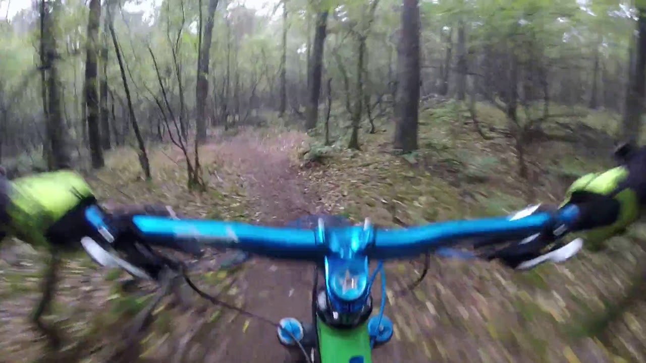 Mountain Bike Riding in The Woods