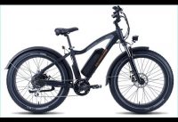 Radpower Electric Bike 2020 Part 2 Radrover Electric Bike 2020 Part 2