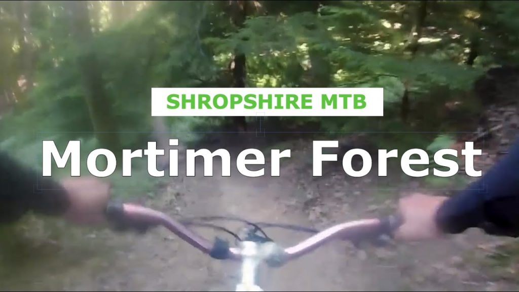 Mortimer Forest - Is this really a blue trail? 90s DH - Shropshire MTB