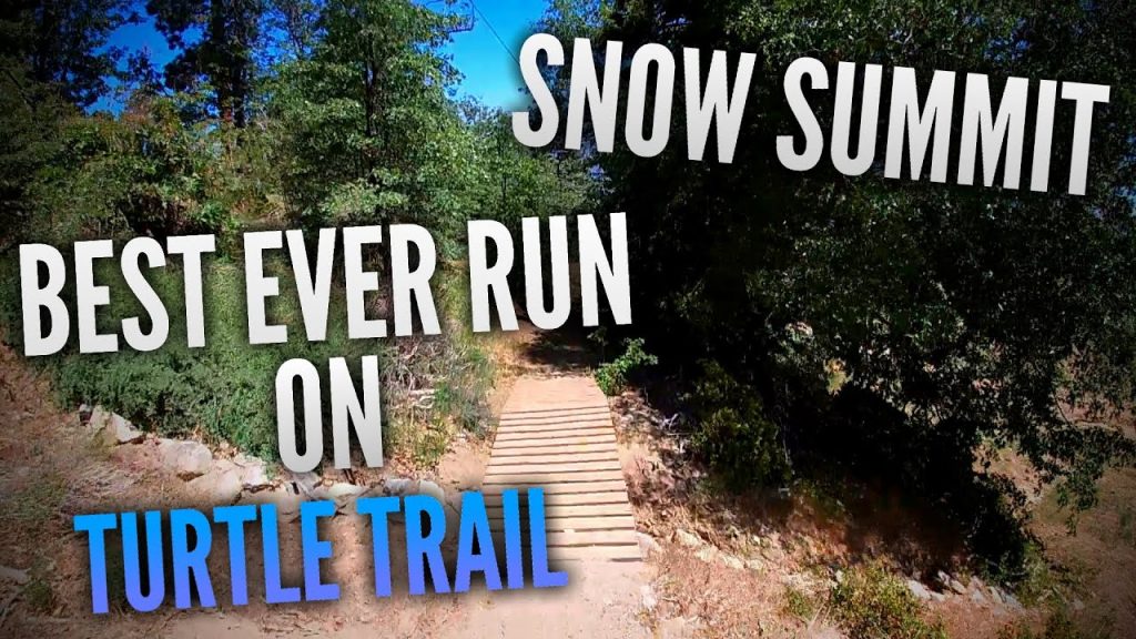 My BEST EVER Turtle Trail Run POV | Snow Summit Bike Park 2020