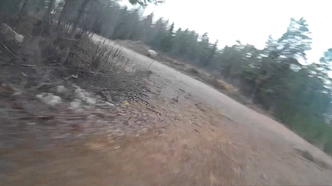 Nighthawks flying in mountain bike track